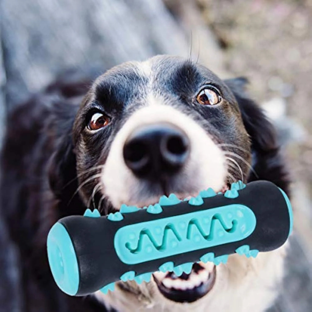 Natural rubber dog dental chew toy in blue, green, yellow, and black blue colours.