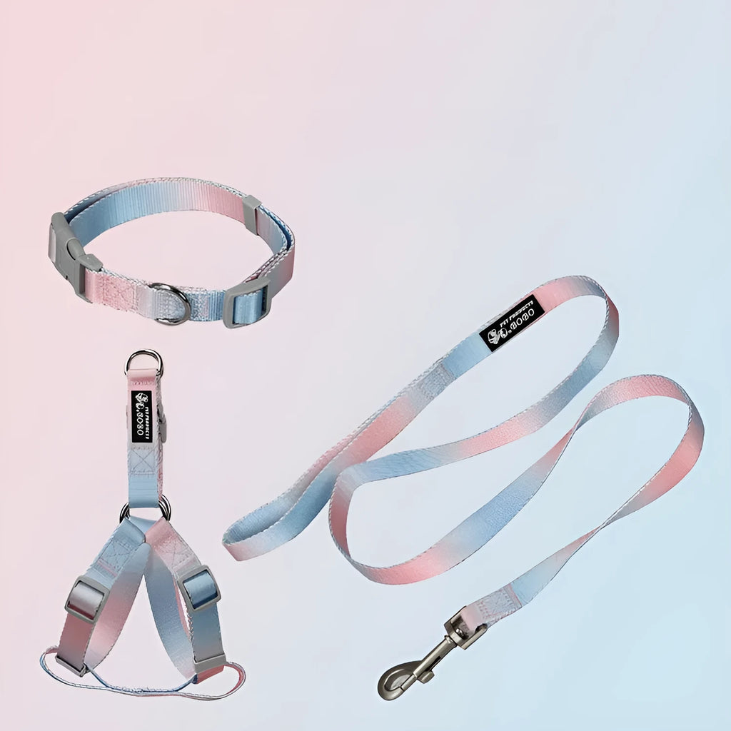 Gradient colour dog leash and collar set made from nylon fabric in multiple colour combinations