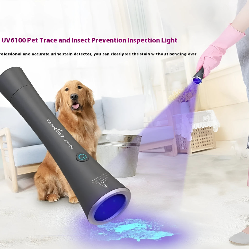 Black aluminium alloy UV flashlight with 1W LED and USB Type-C charging port