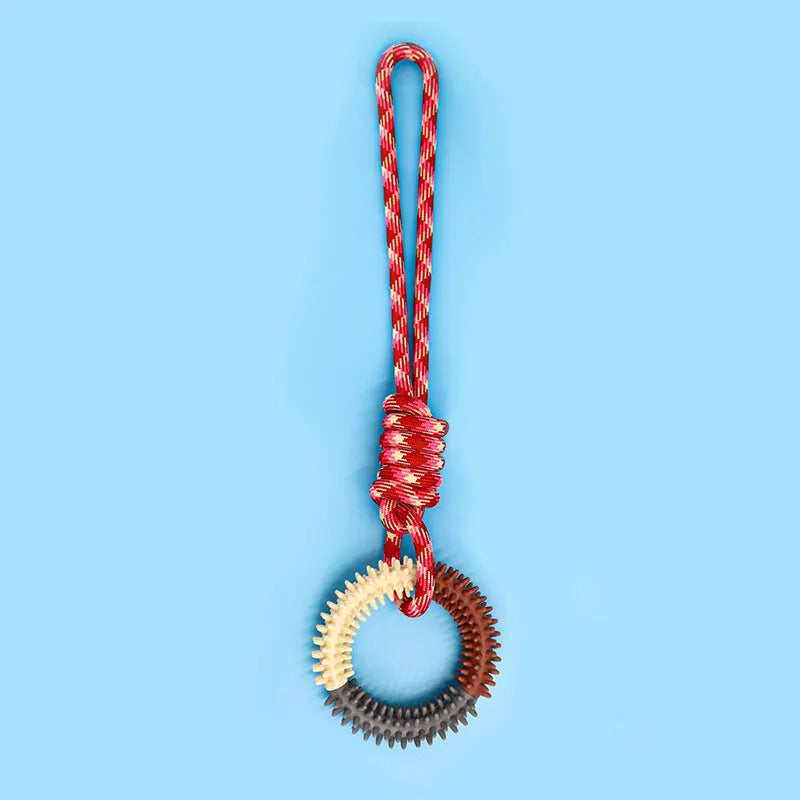Blue braided rope dog toy with knots for tugging and chewing by a medium-sized dog