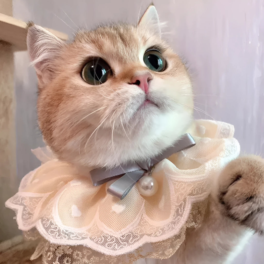 Yellow cotton polyester cat bib with lace trim, princess style, sizes XS S M L, lace and side lacing measurements shown.