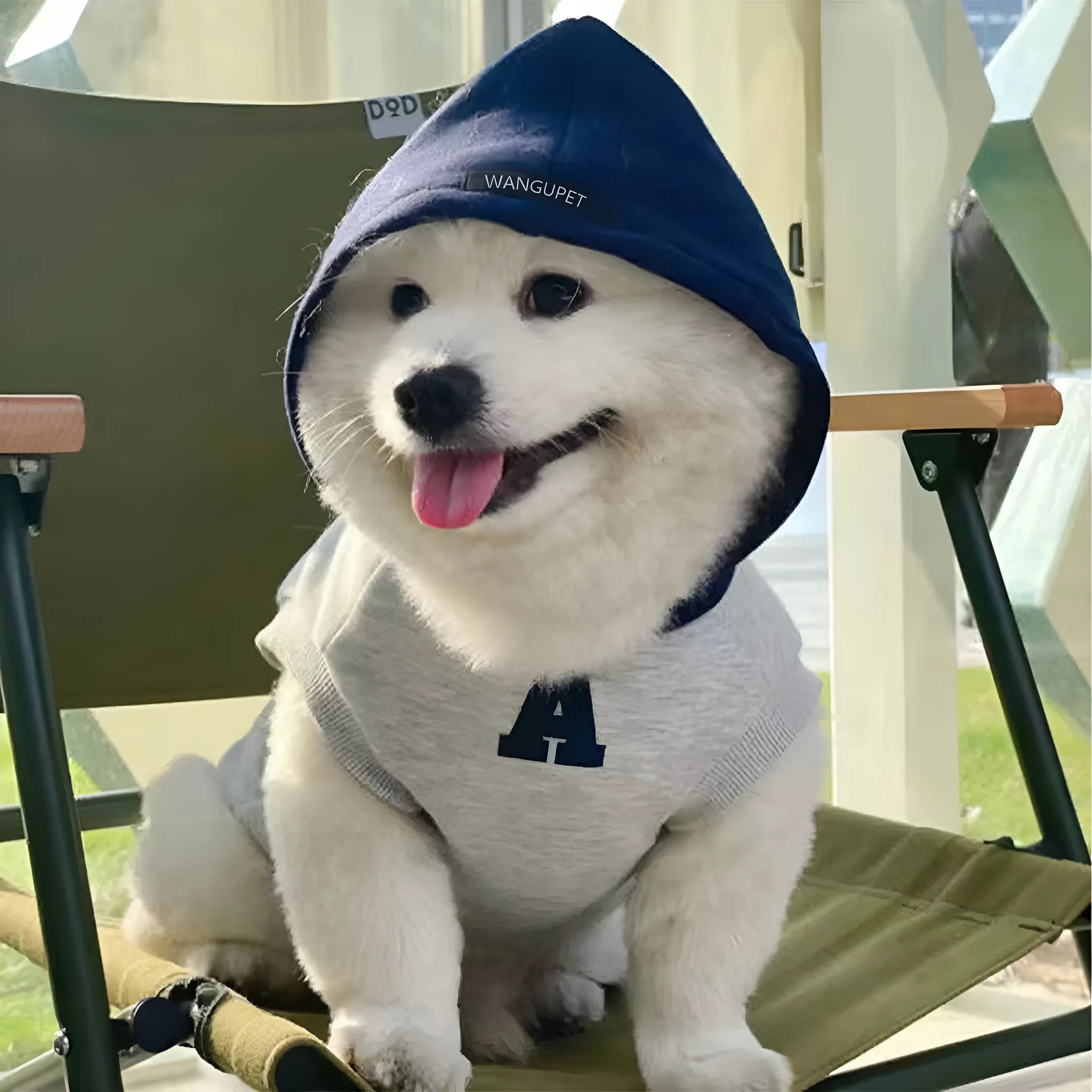 Blue and white reflective letter pet hoodie for dogs and cats in slim fit design