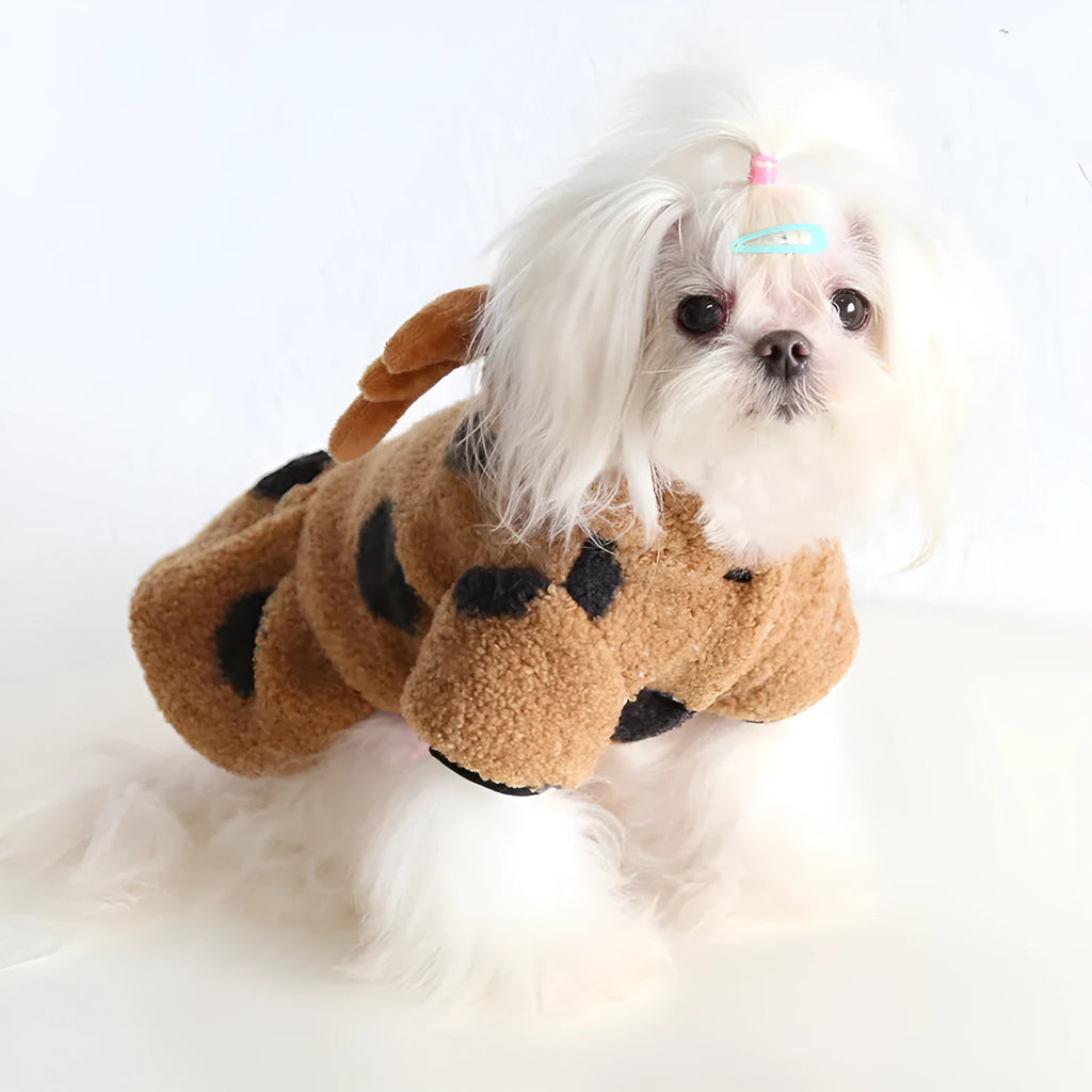 Polka dot pattern pet clothing showing skirt dress and four-legged jumpsuit styles for cats and dogs