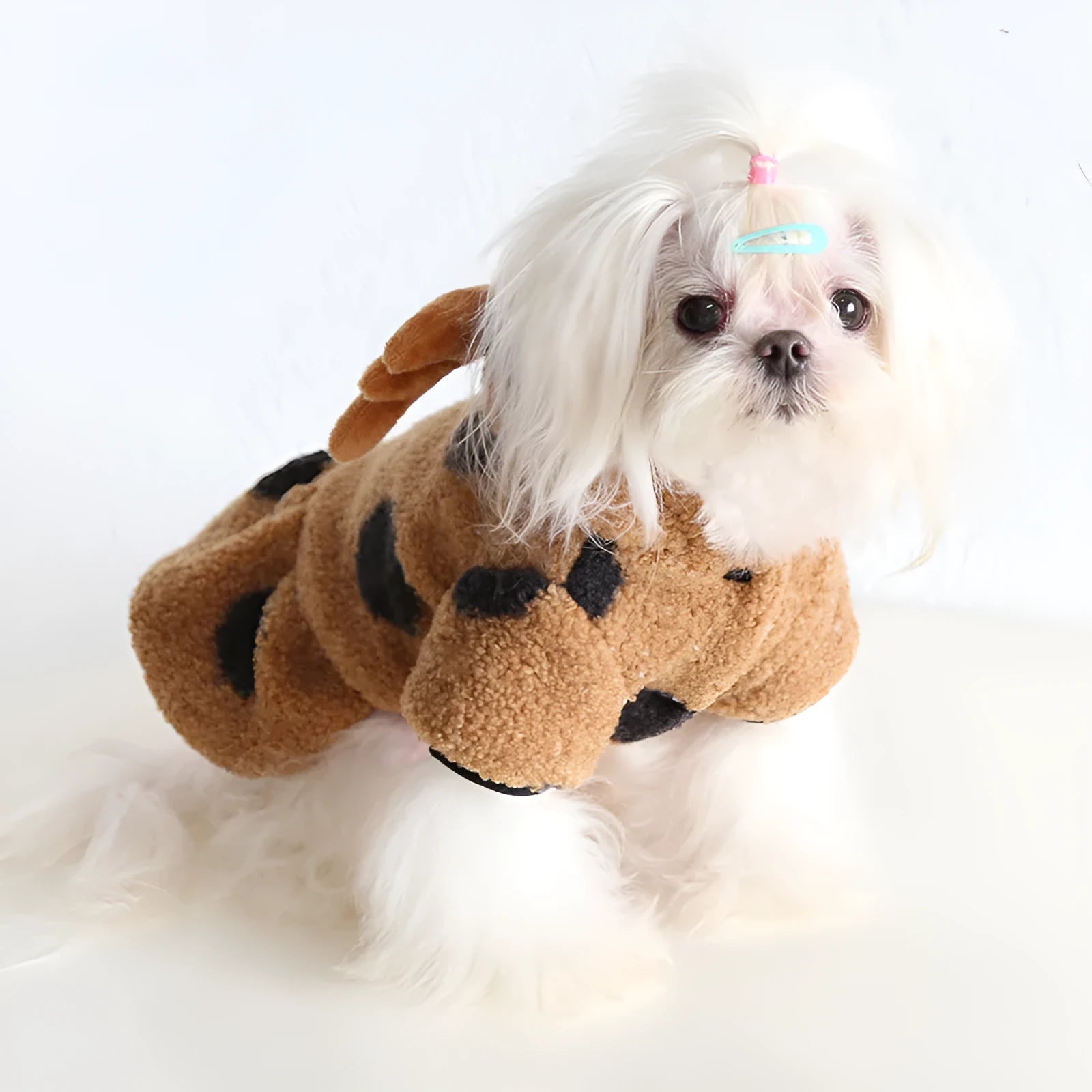 Polka dot pattern pet clothing showing skirt dress and four-legged jumpsuit styles for cats and dogs