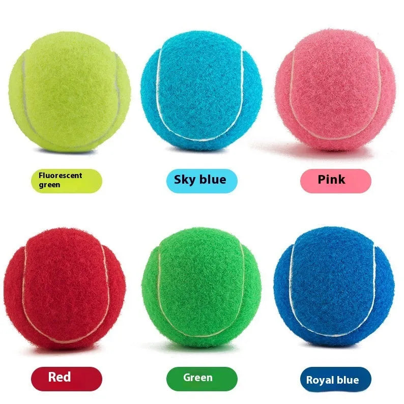 Bite-resistant rubber dog tennis ball in assorted colours, 6.3cm diameter.