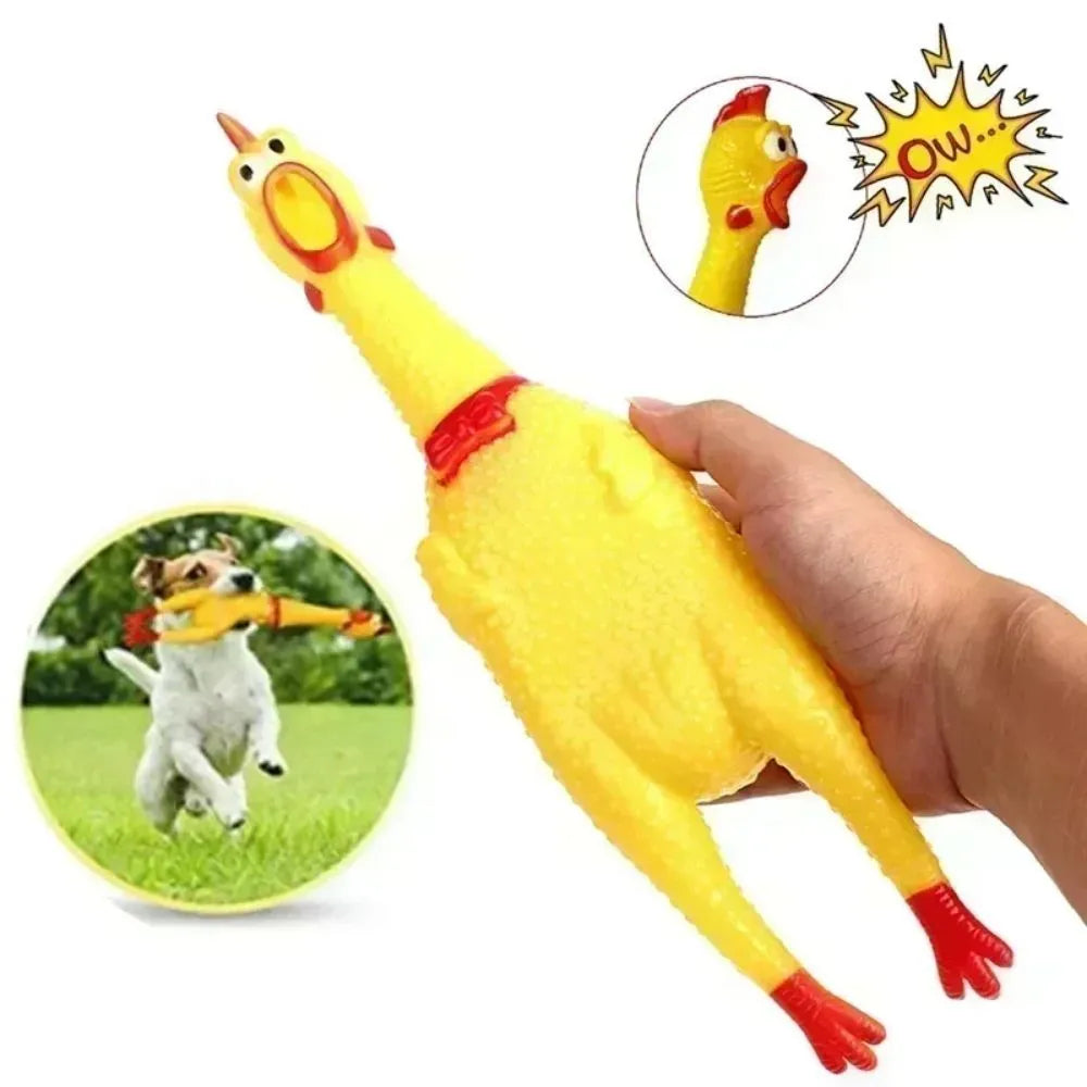 Yellow rubber squeaking chicken dog toy shown in three different sizes for pet play
