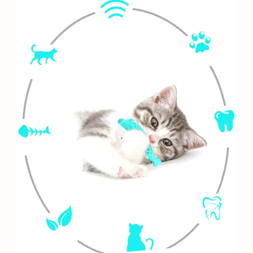 Silicone fish-shaped chew toy for cats in four colours: blue, green, pink, and yellow.