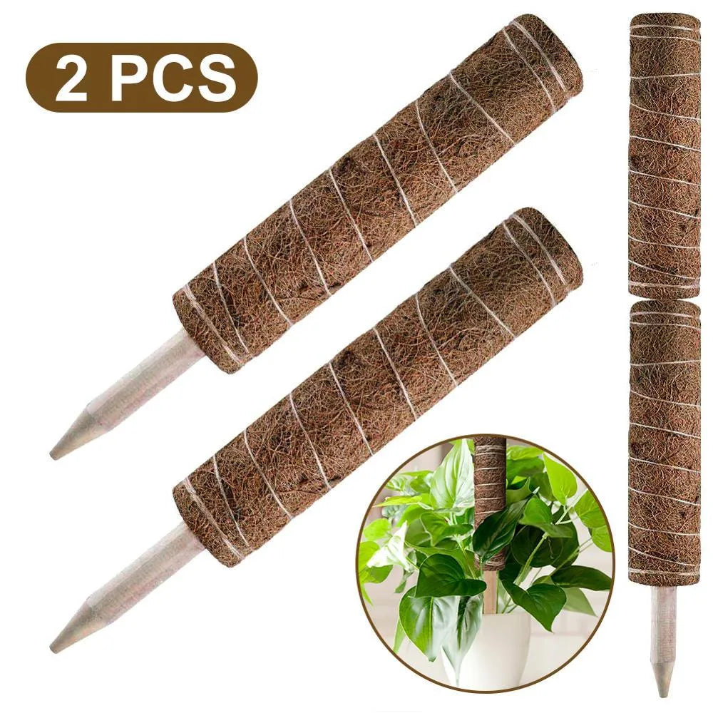 Green radish coconut palm stick totem pole made of natural coconut moss fibre with wooden support for indoor climbing plants
