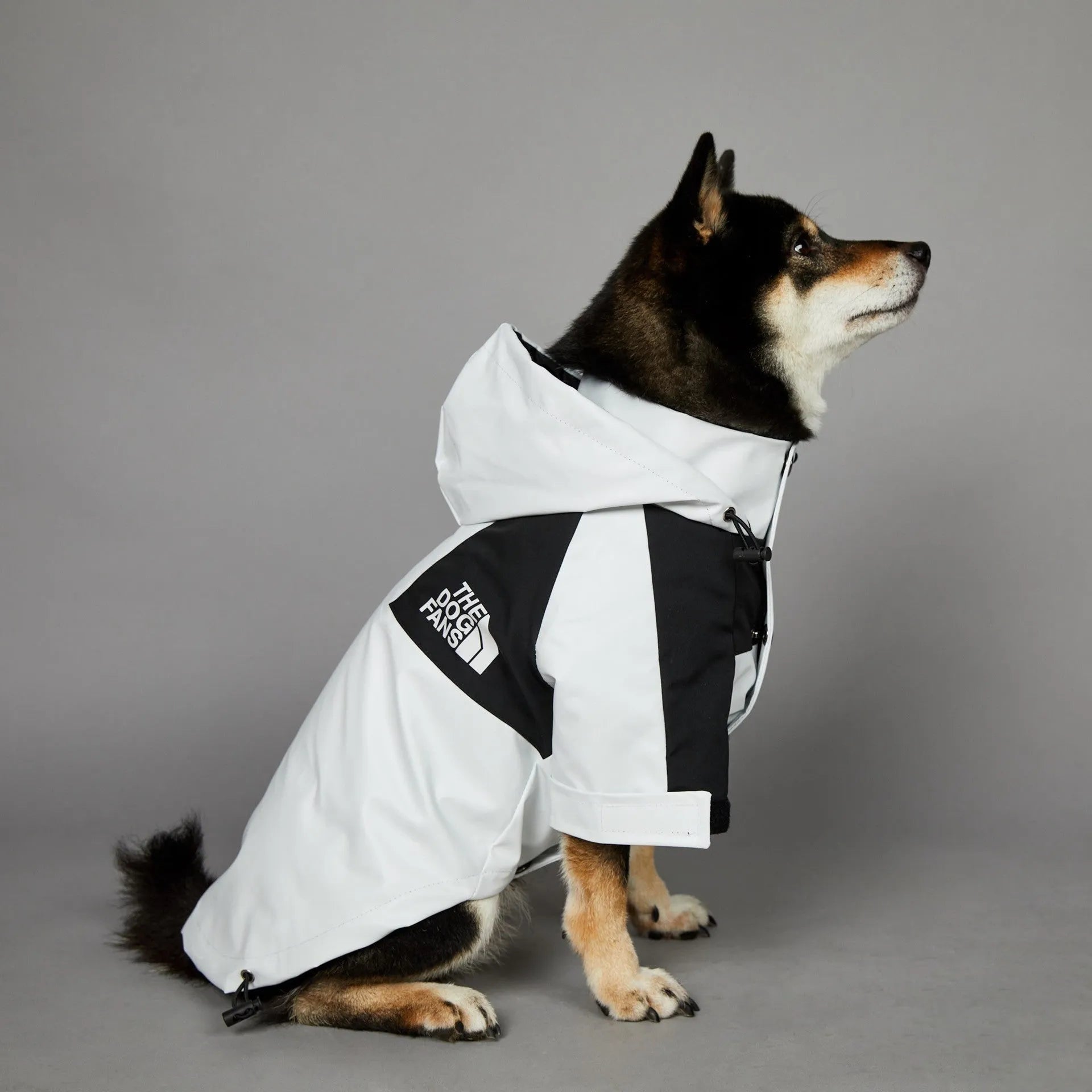 Light green windproof rainproof large dog raincoat in polyester with adjustable fit for sizes S to 5XL