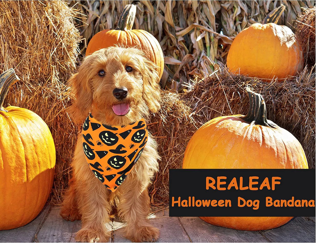 Reversible Halloween dog bandana with pumpkin and spider web patterns in black and orange
