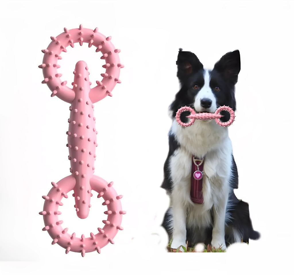 Blue TPR rubber dog chew ring for puppy teething measuring 16cm diameter