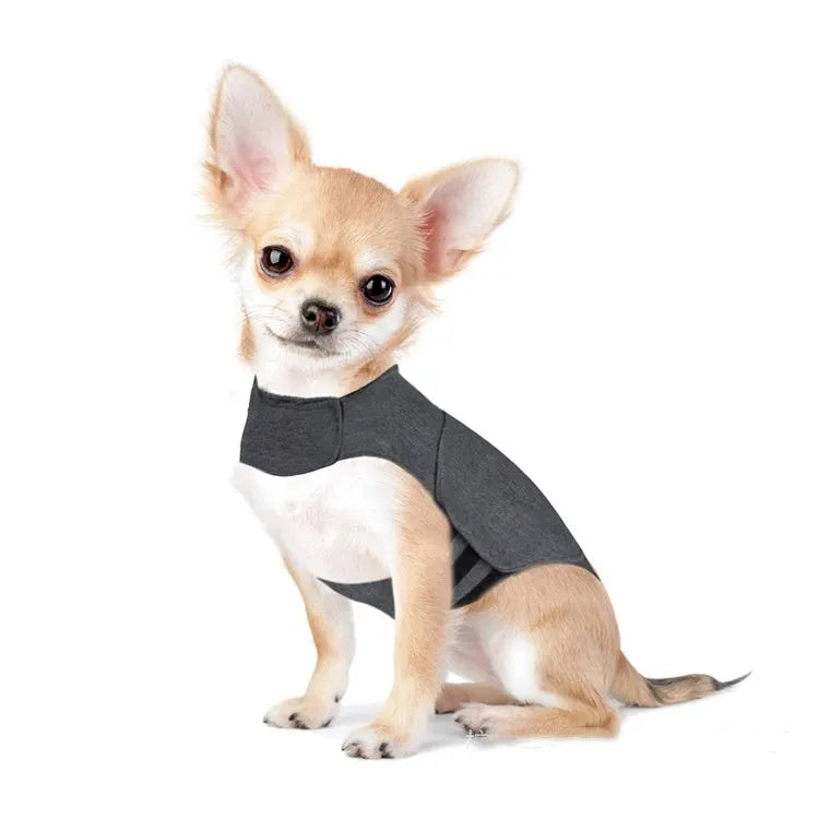 Heather grey dog anxiety vest or warm jacket made from soft polyester brocade cotton fabric on a medium-sized dog.
