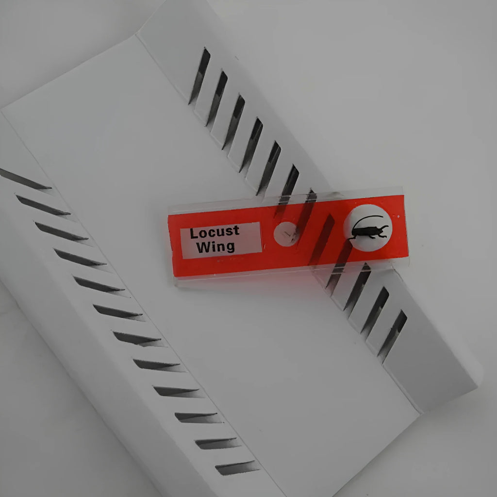 Children's plastic microscope slide set with colour-coded boxes containing plant and animal specimens