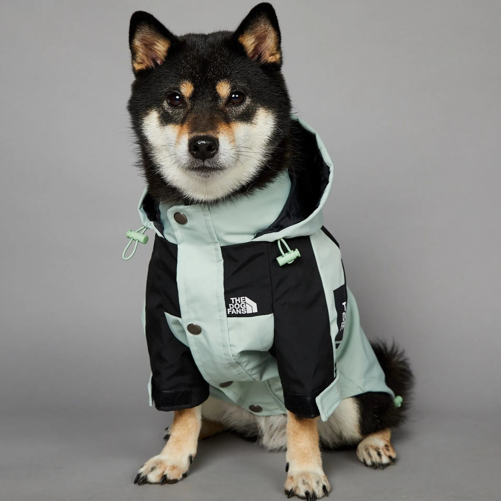 Light green windproof rainproof large dog raincoat in polyester with adjustable fit for sizes S to 5XL
