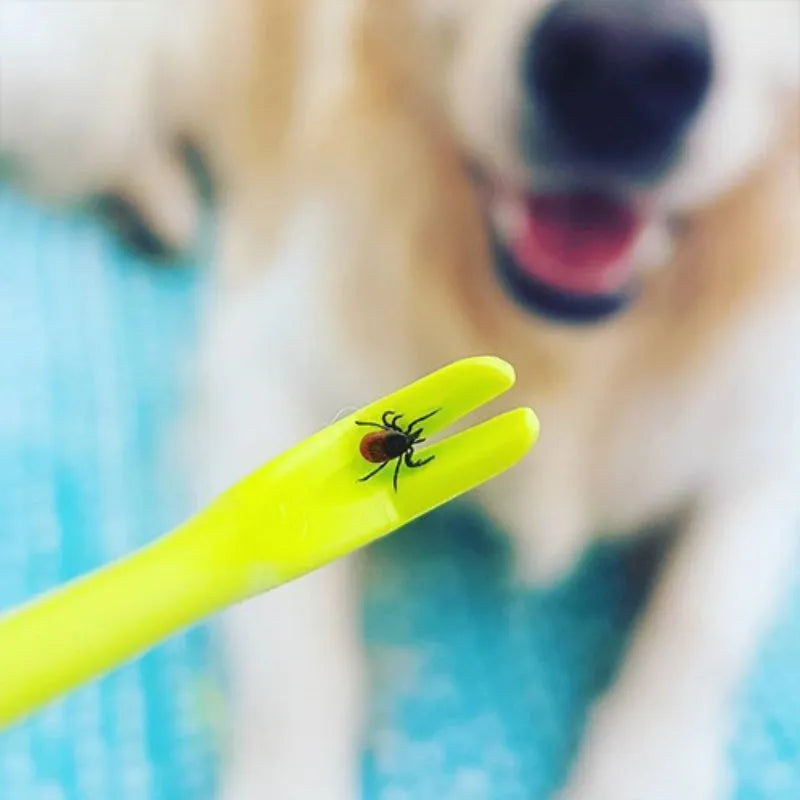 Set of three blue plastic tick removal hook tools for dogs and cats on a white background.