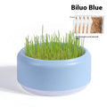 Blue, green, and yellow plastic cups for hydroponic cat grass growing with seed packets.