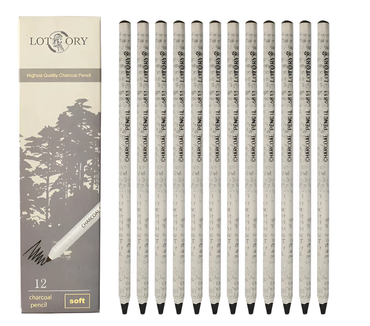 Assorted charcoal pencils in various hardness grades from HB to 12B in a box