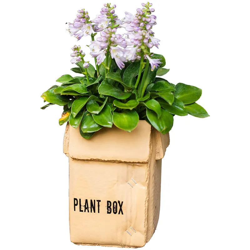 Cement brown paper box style flowerpot with angular sides and a perforated base on a floor.