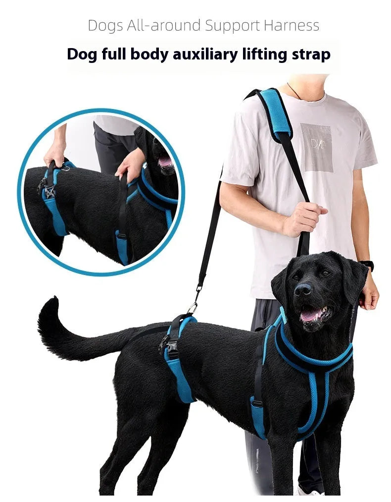 Blue polyester dog auxiliary strap hand-holding walking lead