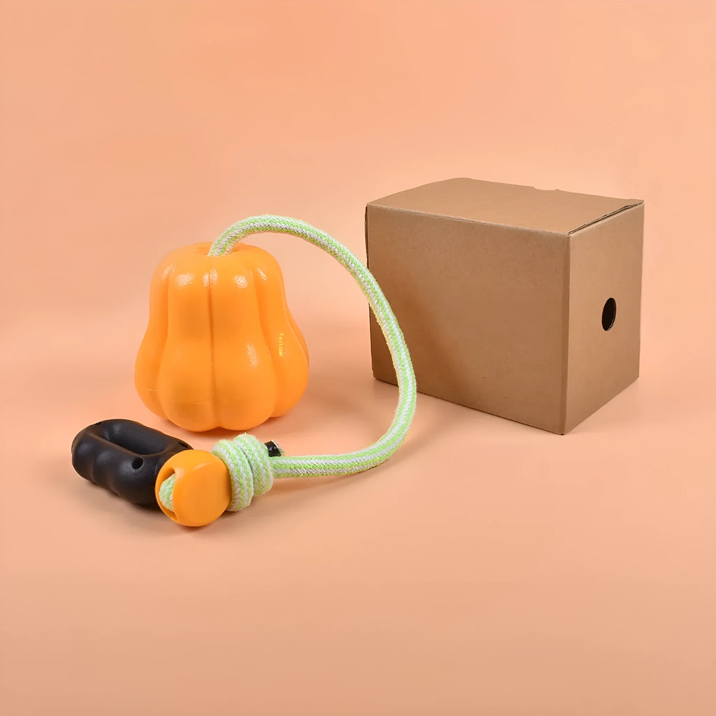 Orange plastic molar-shaped dog chew toy with a blue rope attached, on a green background.
