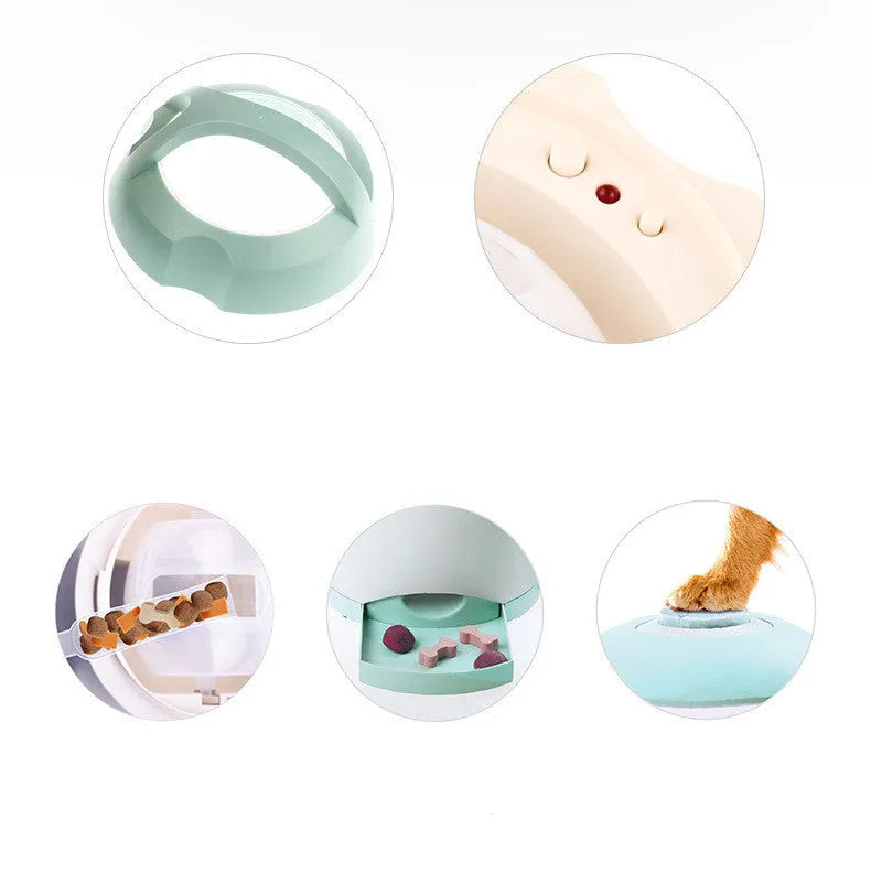 Light green creative dog button push type automatic feeder with USB cable, 20x20x24 cm size