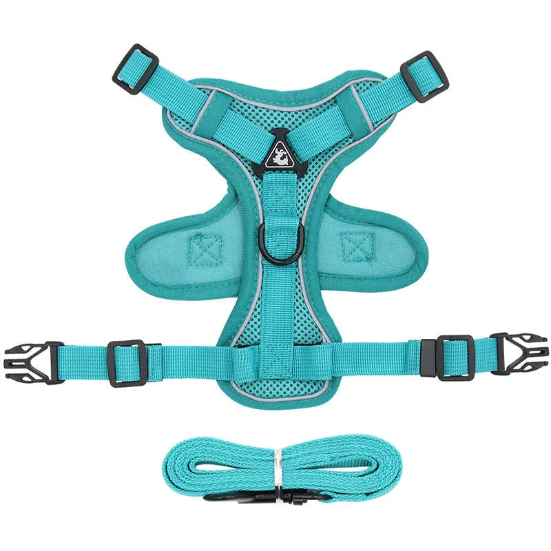 Anti-breakaway cat harness set with 1.5m flat rope lead and silver chain in green, grey, and rose red colours