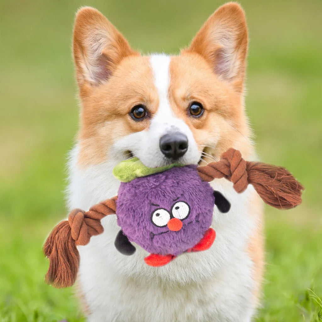 Green or purple plush rope knot dog toy with built-in molar tooth elements for tug-of-war and dental play