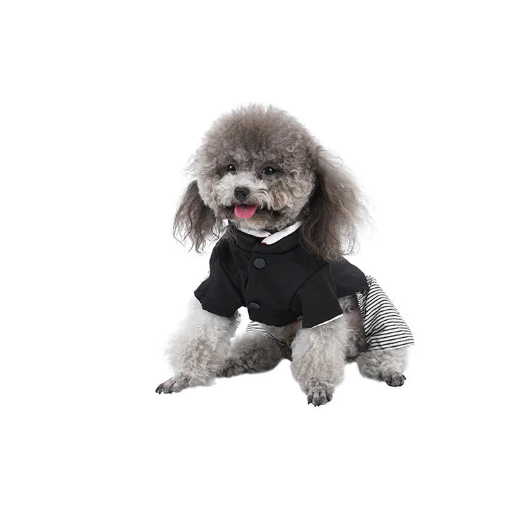 Poodle wearing either a cotton skirt or four-legged trousers, showcasing the two style options for seasonal dog clothing.