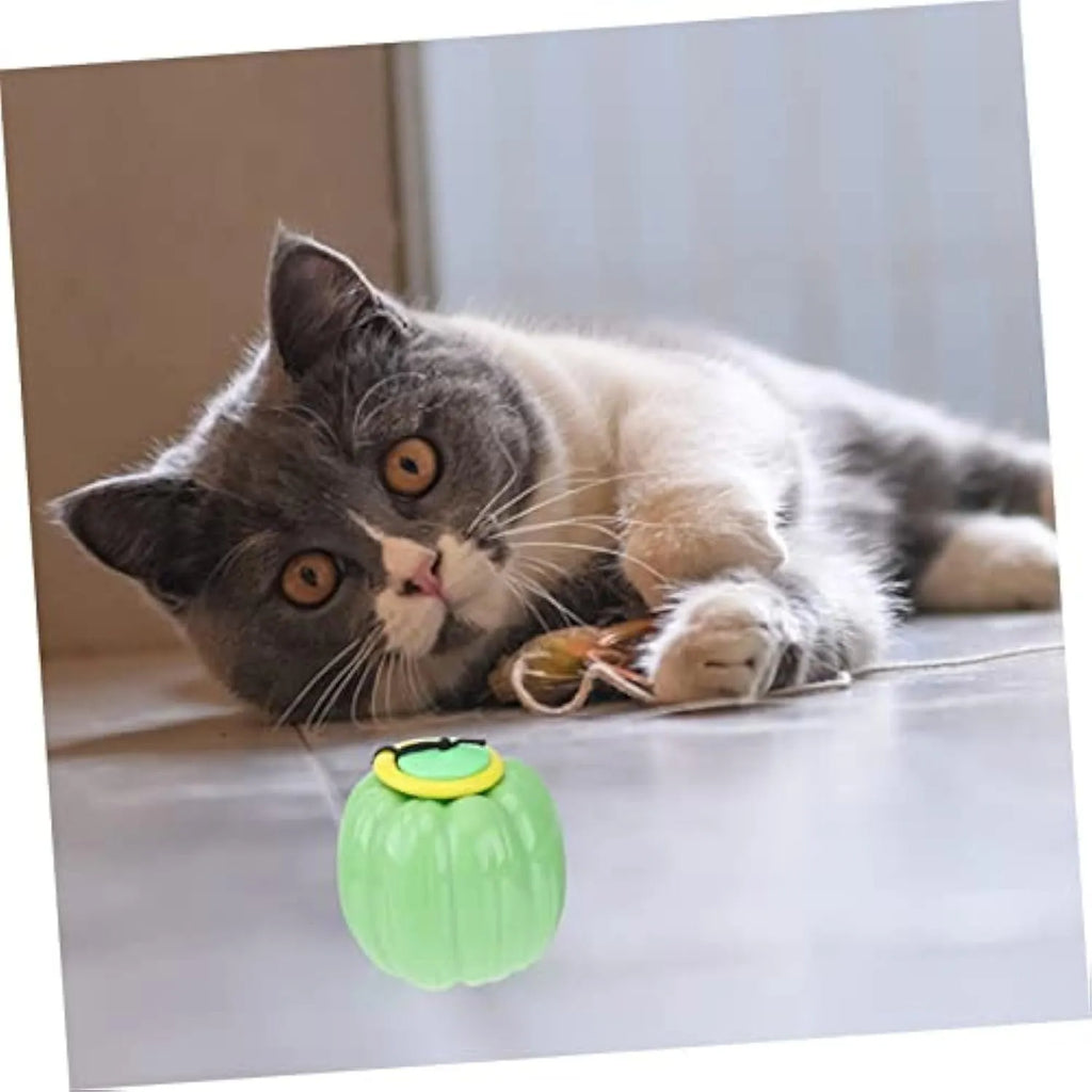 Orange pumpkin-shaped dog chew toy with squeaker for puppies and small dogs