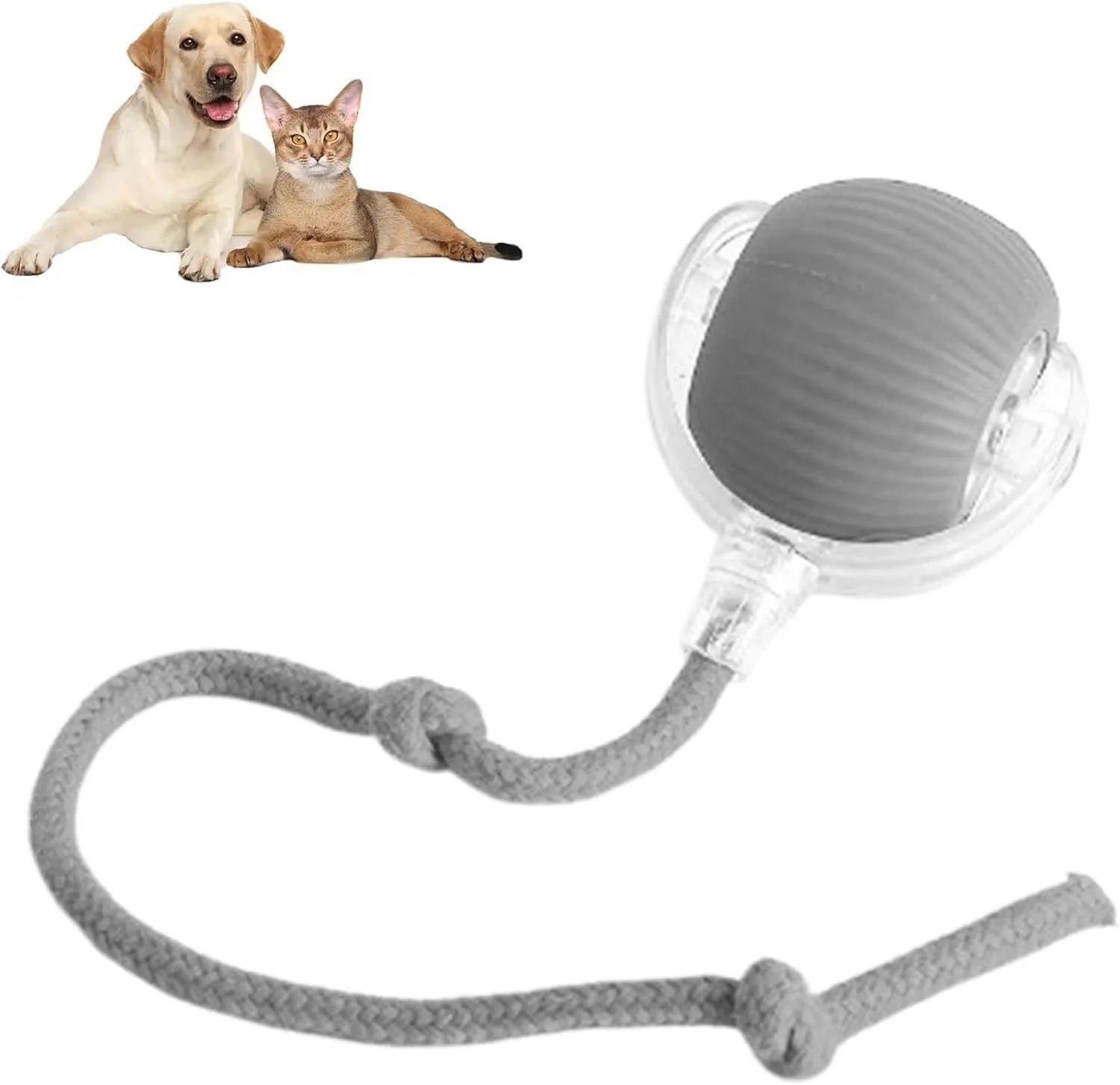 Smart automatic rolling pet ball toy with rope attachment in grey colour, 6.5cm diameter