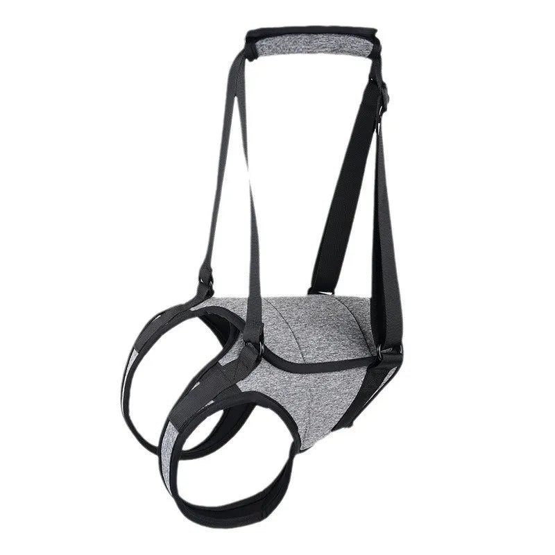 Grey neoprene dog rear leg recovery belt showing adjustable sizing for canine injury rehabilitation support