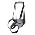 Grey neoprene dog rear leg recovery belt showing adjustable sizing for canine injury rehabilitation support