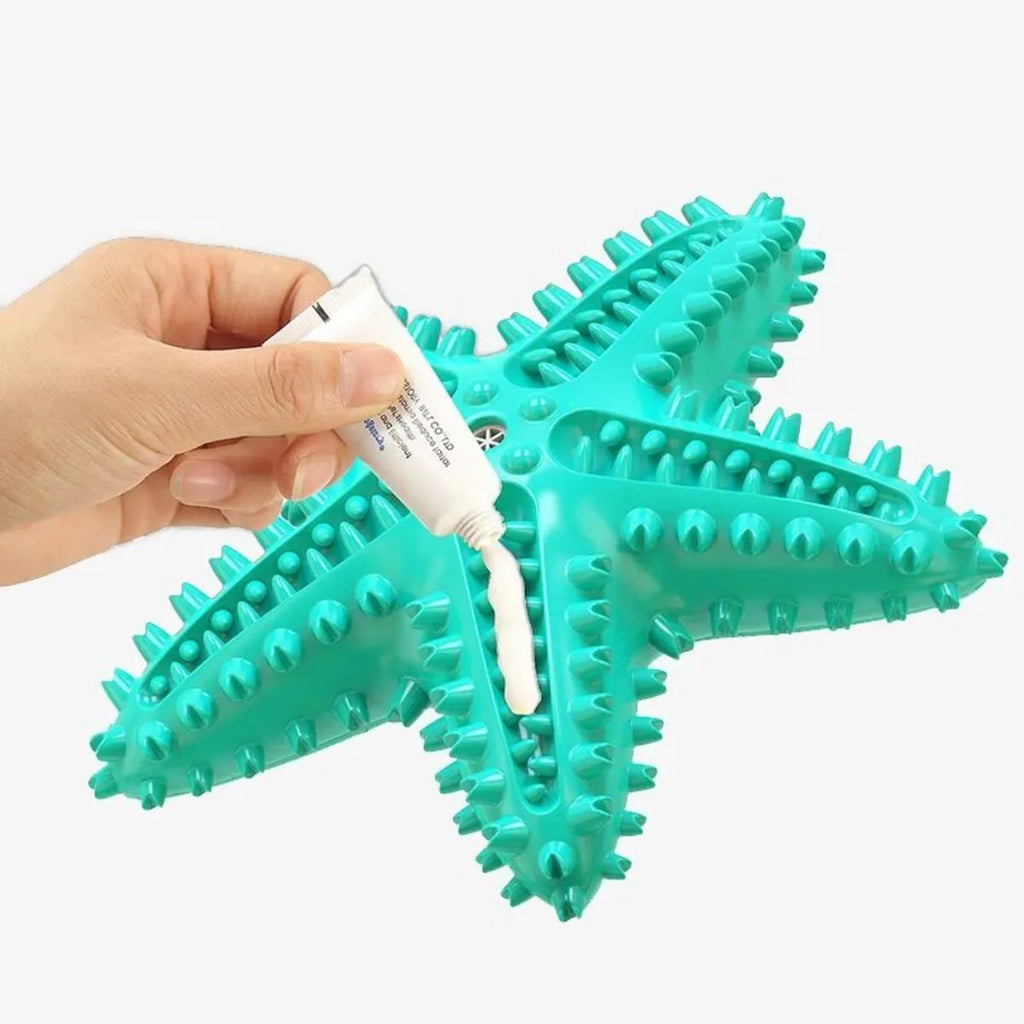 Edible TPR starfish dog toy for large breeds in blue green yellow colours with squeaker