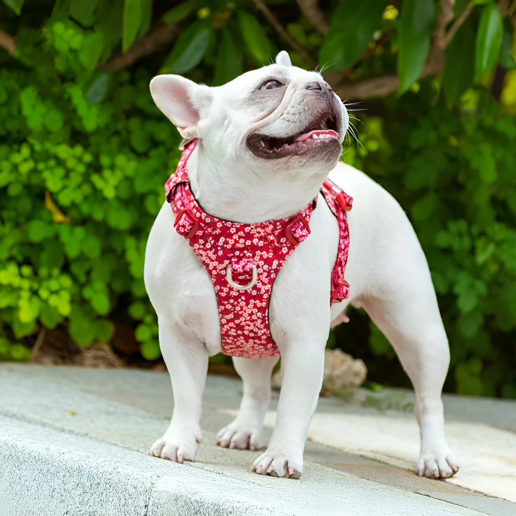 Floral pattern dog chest strap made from pure cotton with pull-resistant design