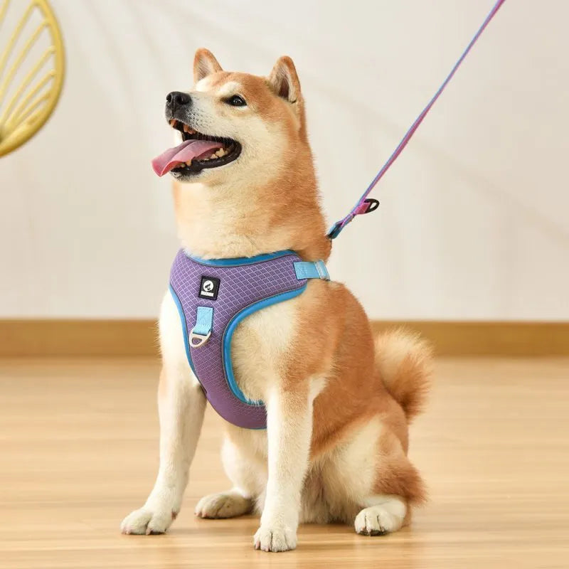 Adjustable polyester dog harness with reflective trim and breathable mesh construction