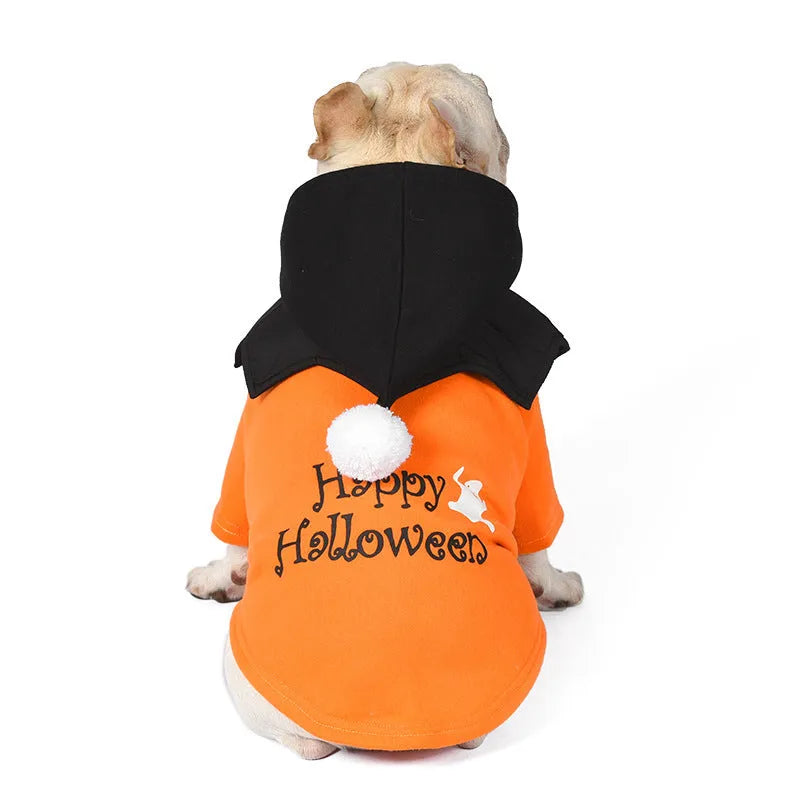 Halloween pumpkin dog costume with black and orange sweater and shawl on dog