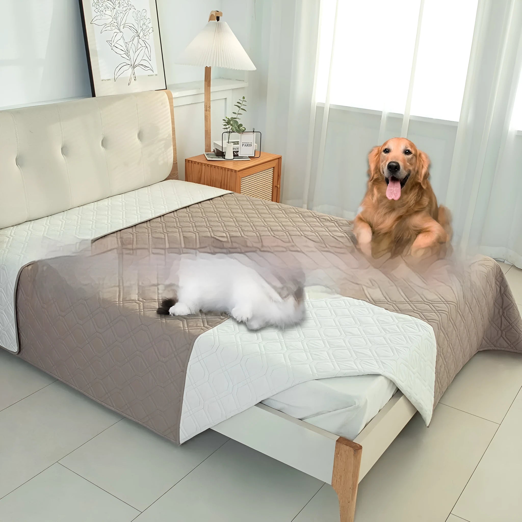 Double-sided waterproof pet sofa cushion shown in dark grey and khaki colour options on a sofa.