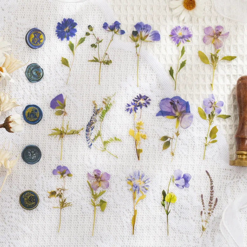 Package of colourful creative dried flower journal stickers showing eight different modern art style designs on clear PET sheets.
