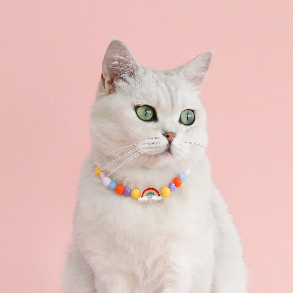 Colourful plastic bead pet necklace in peach, rainbow, and small flower designs for cats and dogs