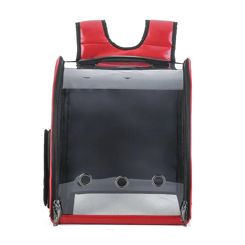 Folding transparent pet backpack in black, made from food-grade PC, carrying a small cat.