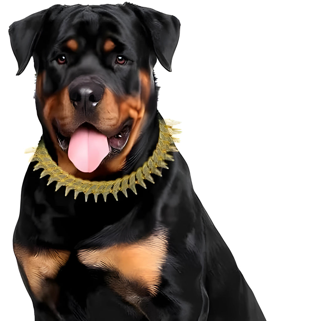 Diamond pet neckband necklace in gold with plaid pattern on a zinc alloy band, suitable for small to large pets.