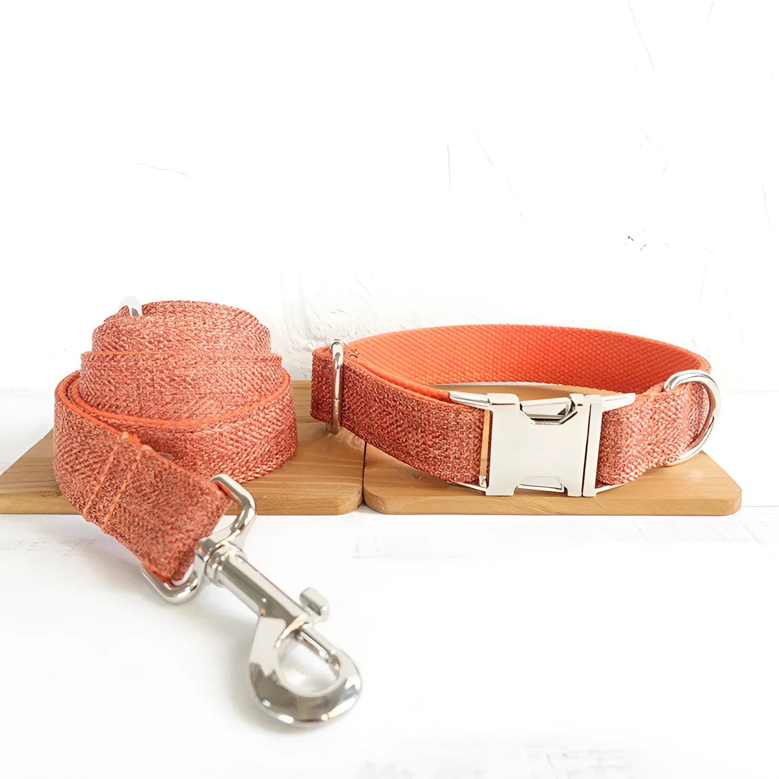 Double-layer thick polyester pet leash with adjustable metal buckle on a neutral background