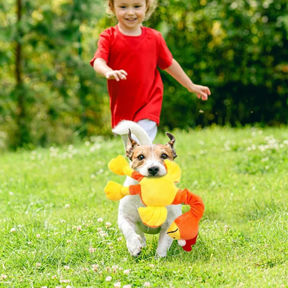 Chicken-shaped plush dog toy with screaming sound and squeaky function in black, green or orange colours