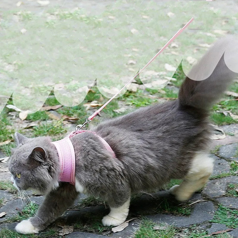 Anti-skid mesh cat harness with adjustable neck and chest, 120cm leash, black or pink