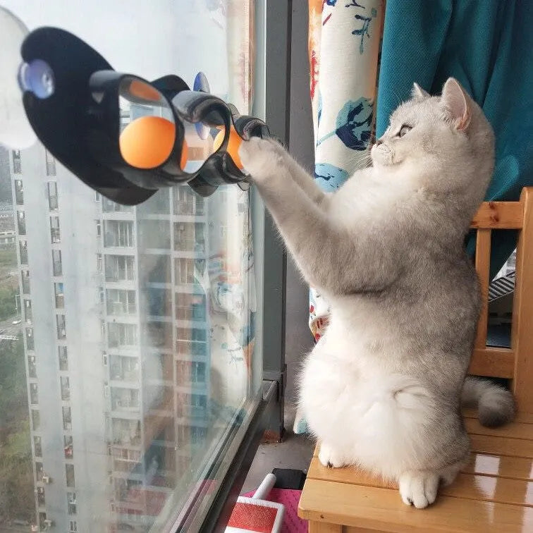 Grey plastic cat track ball toy, 57cm long and 10cm wide, indoor windowsill cat climbing frame