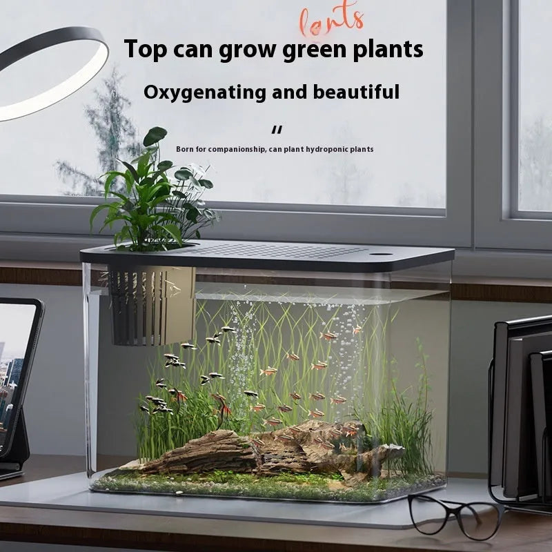 Black ecological betta fish tank with cover measuring 32cm length for desktop aquarium display