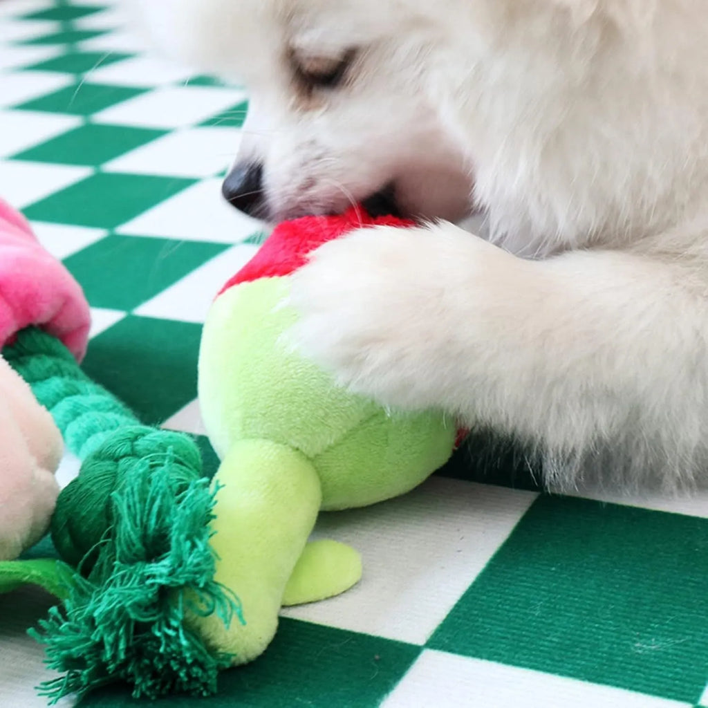 Plush rose flower dog chew toy with squeaker for small and large dogs