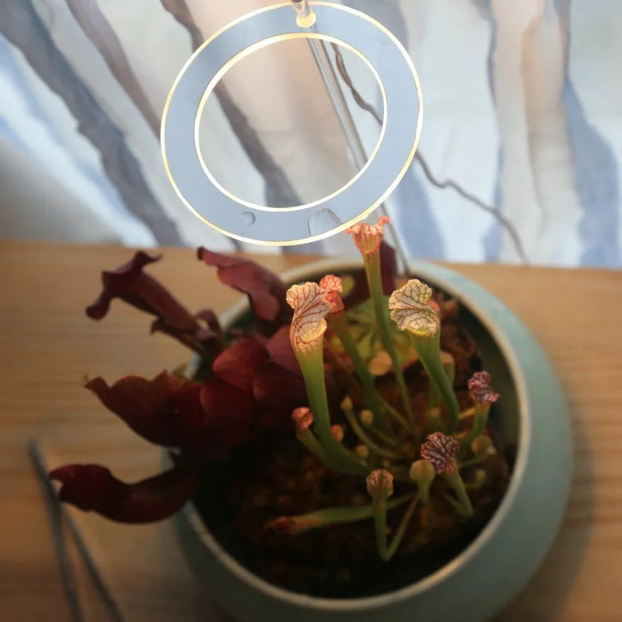 USB LED plant grow light with acrylic mounting stick showing multiple head configuration options