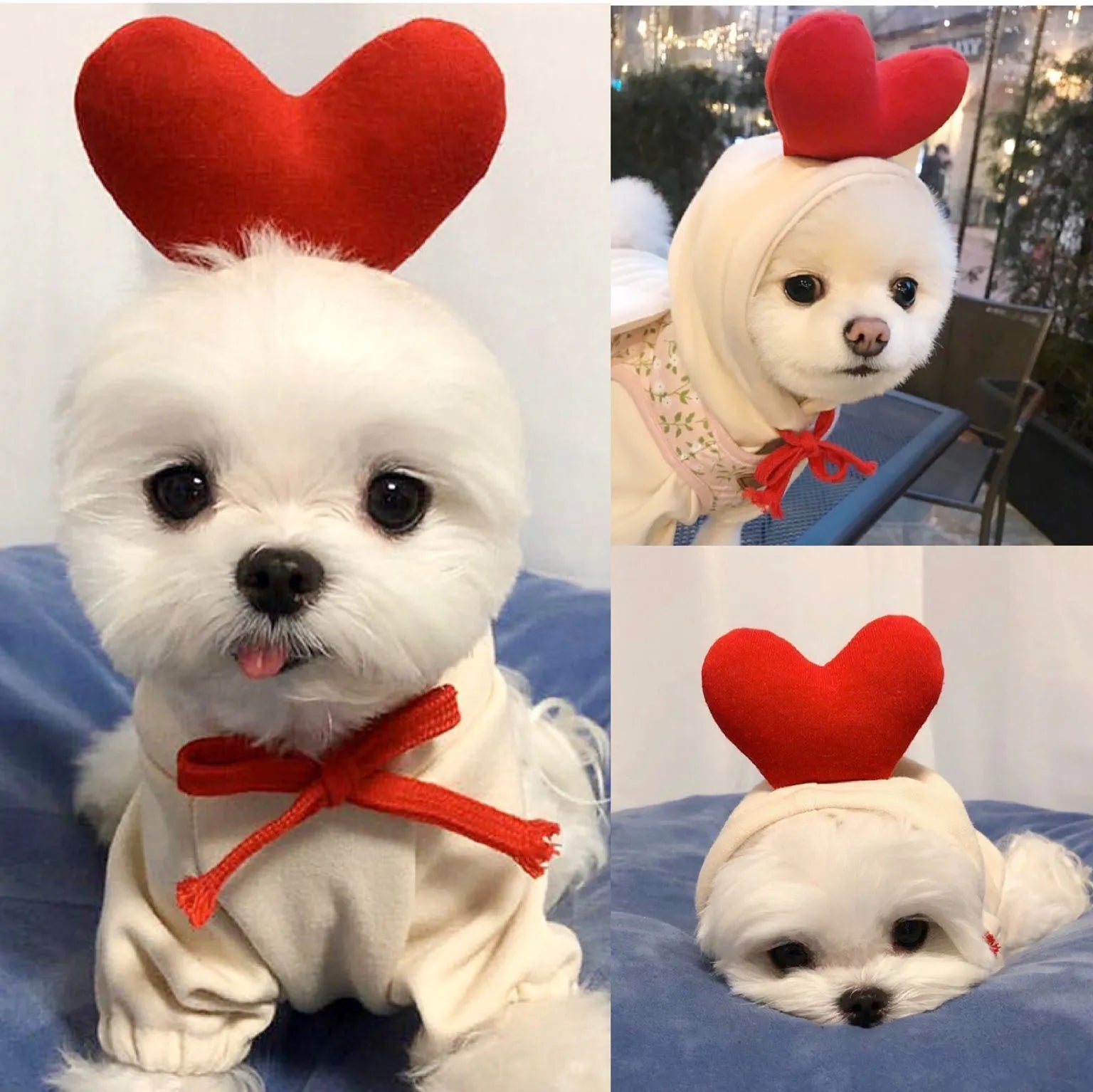 Fruit dog clothes two-legged hooded green fleece outfit for small dogs autumn winter pet sweater