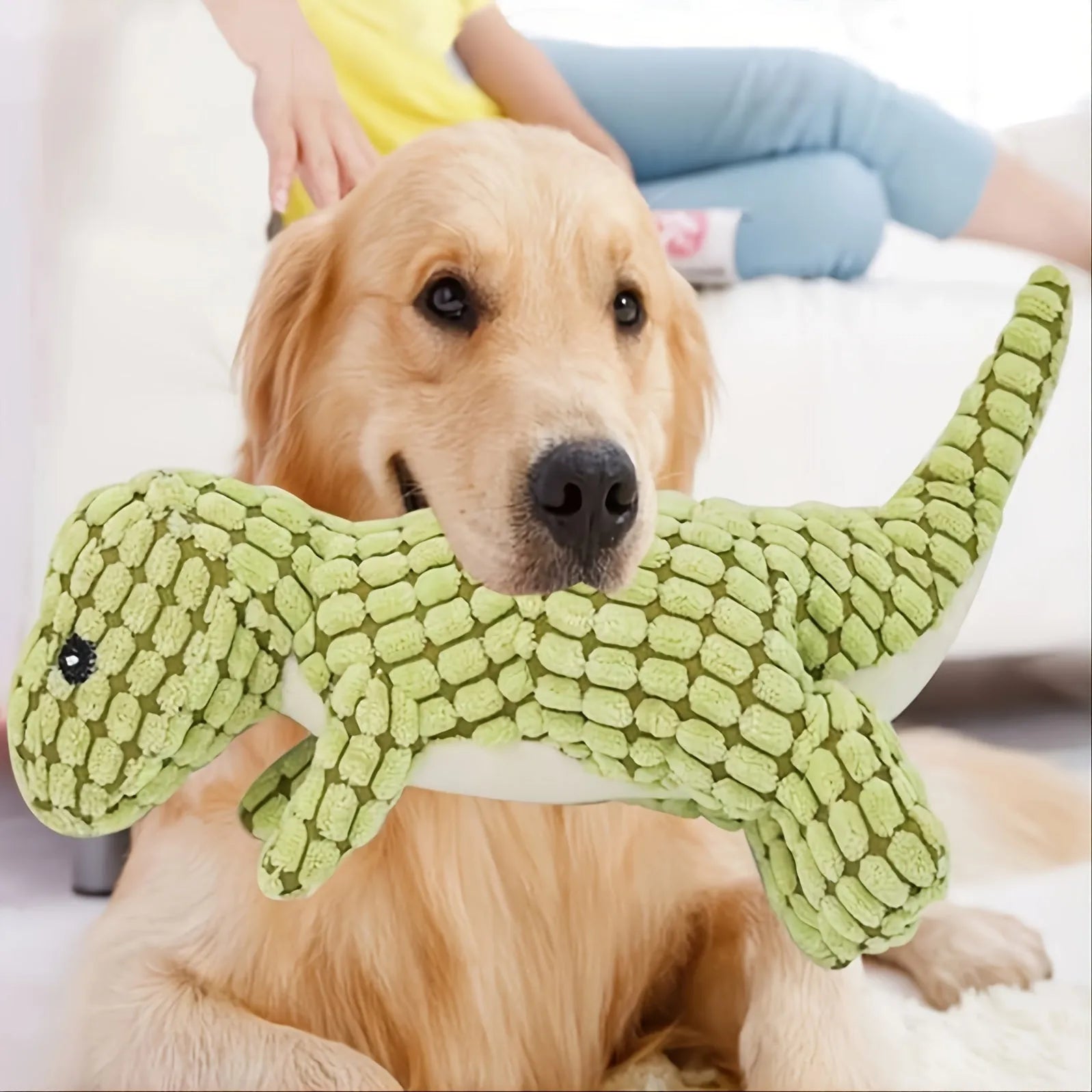 Grey, green, and orange durable rubber dog toy with sound feature for chewing and training.